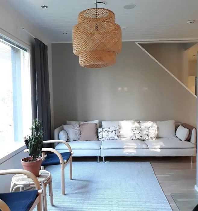 Tikkurila Valamo korostusseinä 