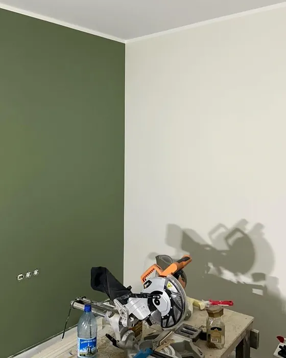 Tikkurila L447 korostusseinä 