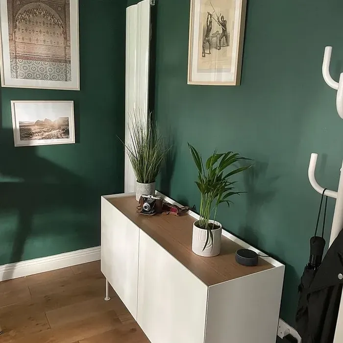 Dark green paint interior idea M442 Fjord