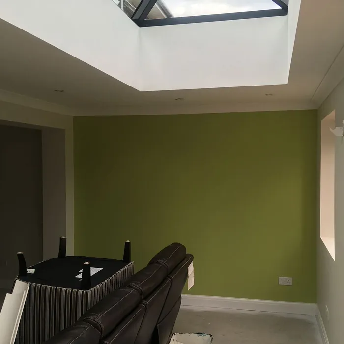 Tikkurila Wasabi korostusseinä väri
