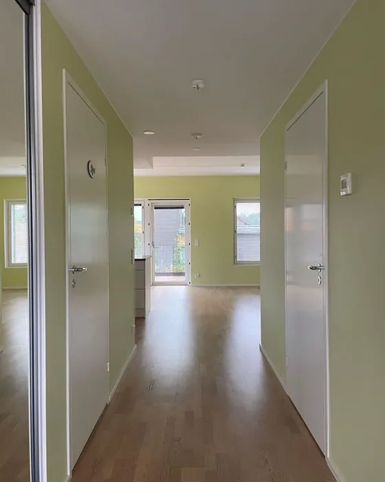 Tikkurila X387 seinämaalaus 