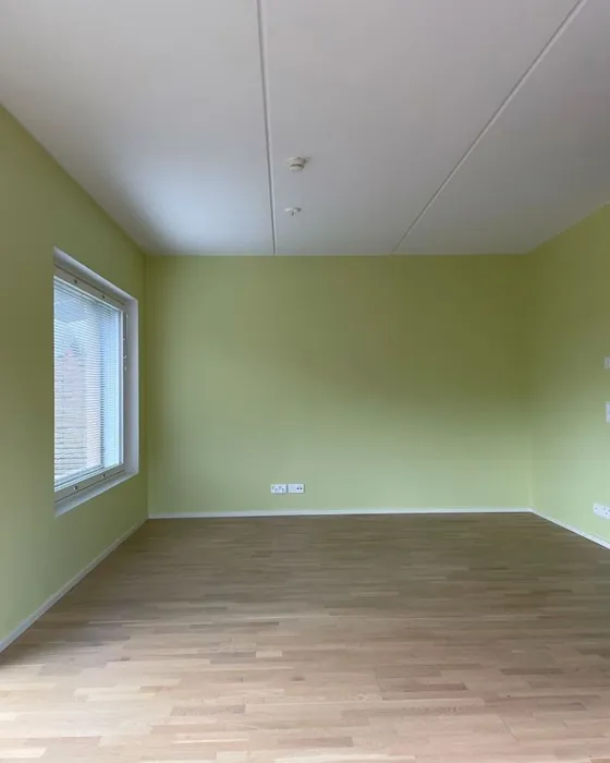 Tikkurila X387 maali 