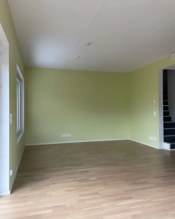 Tikkurila X387 maali sävy