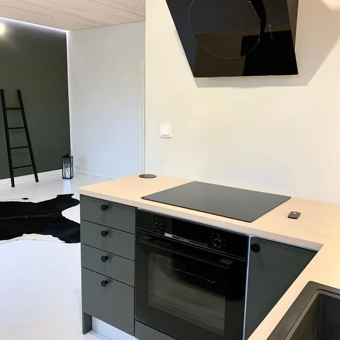 Tikkurila X495 keittiön kaapit sävy kokemuksia