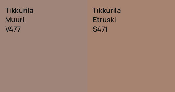 Tikkurila Muuri vs. Tikkurila Etruski comparison